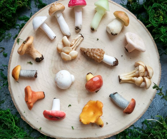 Mushrooms 16pcs set fairy garden terrarium kit, miniature mushroom decor -  Shop FRUIT STORIES Other Furniture - Pinkoi