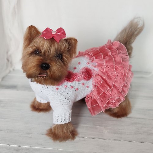 Pretty pet sweater Handmade small dog clothes for girl with embroidery flowers Fancy knit dog dress