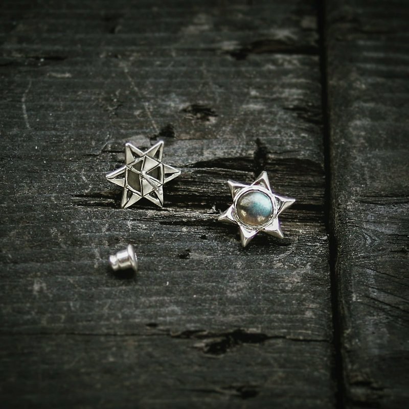 Hexagonal ice crystal spectrum Stone(needle) earrings Snowflake earring - ต่างหู - เงินแท้ สีเงิน