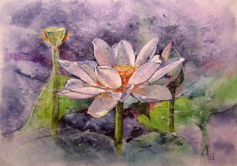 Lotus Original Watercolor Painting Lily Original Art Flowers Wall Art Lotus Art - 插畫/繪畫/寫字 - 紙 粉紅色