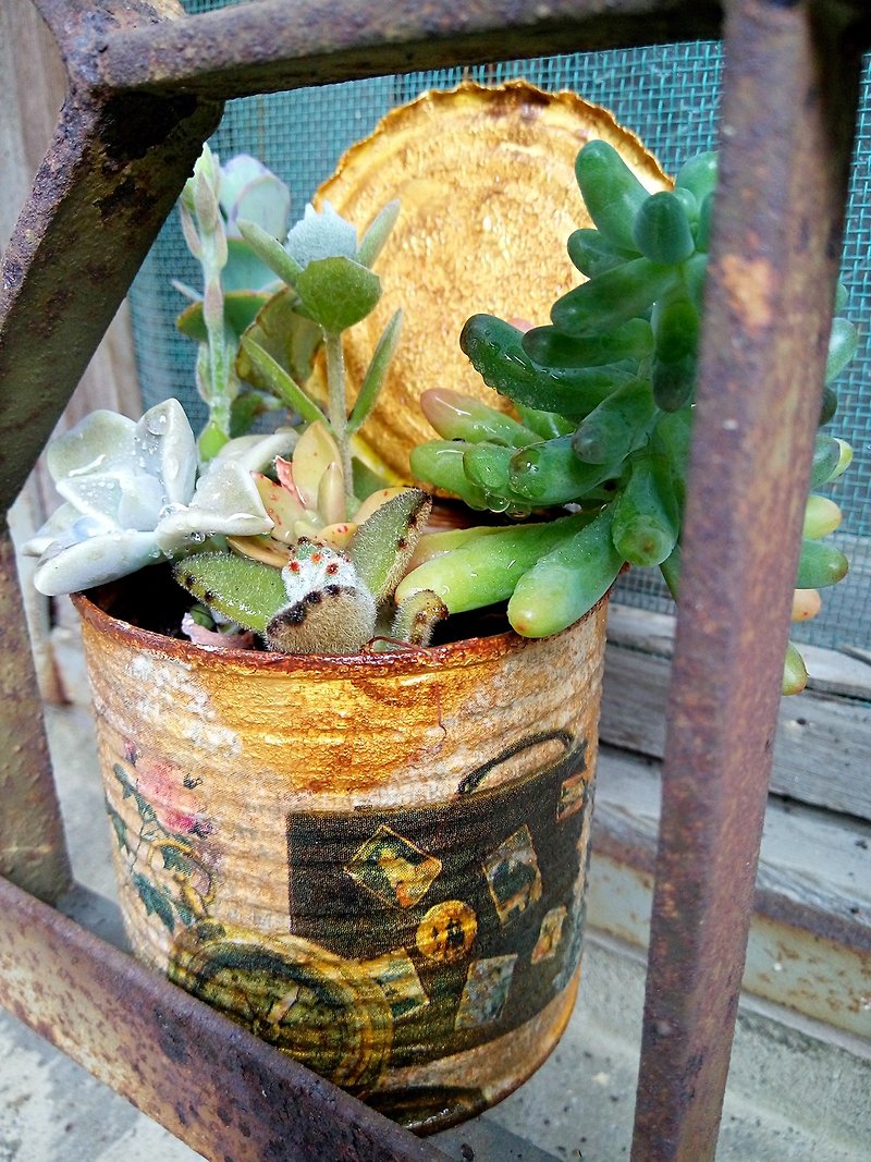 蝶古巴特拼貼多肉植物組合/窗花二 - 植栽/盆栽 - 植物．花 咖啡色