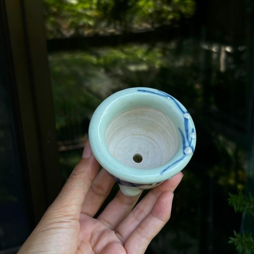 瀬戸焼∣青磁染付梅ミニ丸鉢 - ショップ mu bonsai 観葉植物