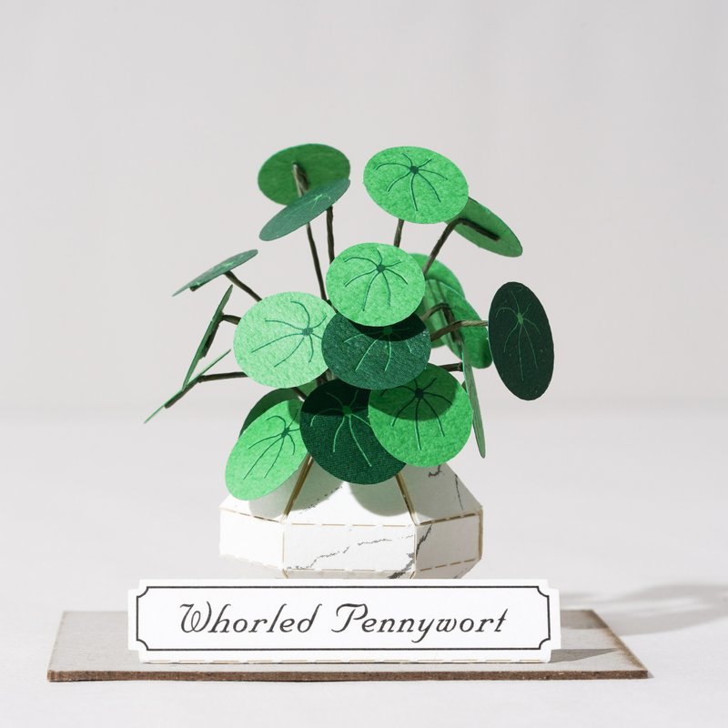 DIY Kit - Forever Green - Whorled Pennywort | 9028405 GREENFUL LIFE - งานไม้/ไม้ไผ่/ตัดกระดาษ - กระดาษ 