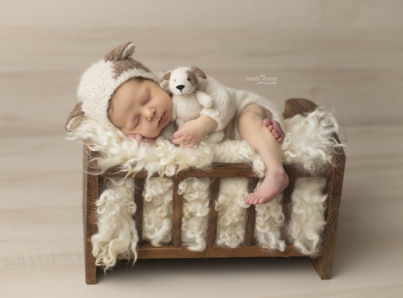 Newborn photo prop set: knitted toy puppy, matching bonnet, wrap - เครื่องประดับ - ขนแกะ 