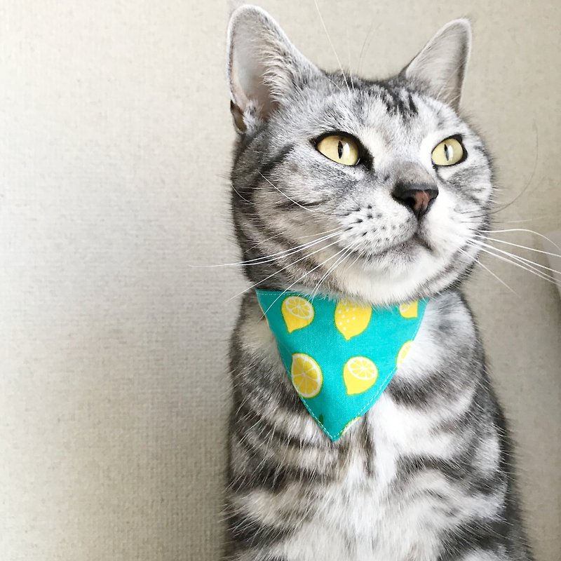 檸檬柄 猫用バンダナ風首輪　安全バックル　安全首輪 - 女西裝外套 - 棉．麻 藍色