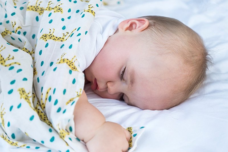 Organic B 有機比比 嬰兒有機棉二層紗包巾-豹的叢林圓舞 - 嬰兒床墊/睡袋/枕頭 - 棉．麻 