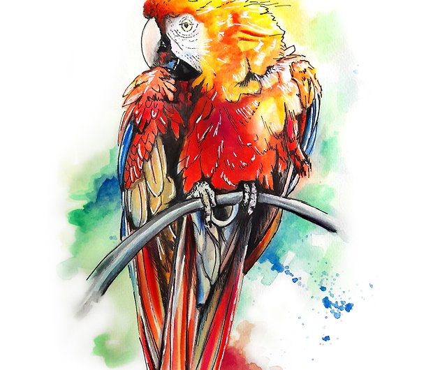 オウム絵画赤コンゴウインコ鳥水彩アートワークオリジナル壁アート装飾 - ショップ Ginna Paola ウォールデコ・壁紙 - Pinkoi