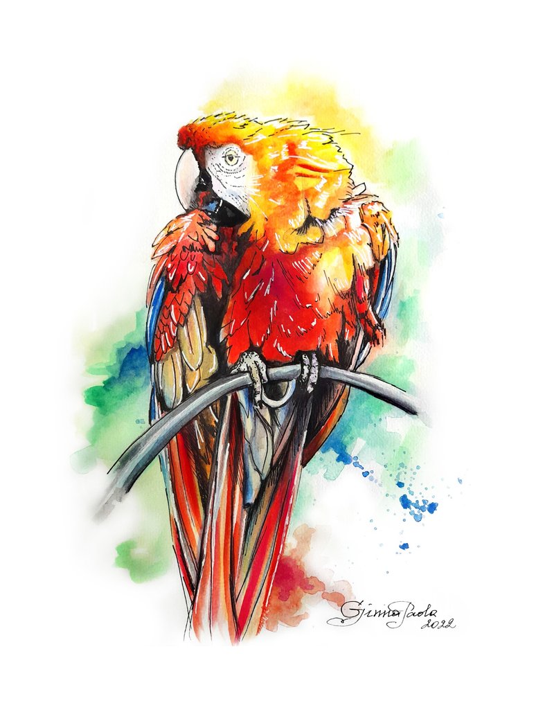 Parrot Painting Red Macaw Bird Watercolor Artwork Original Wall Art Decor - 壁貼/牆壁裝飾 - 紙 多色