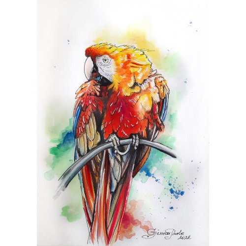 コンゴウインコ　絵画 500x0.jpg