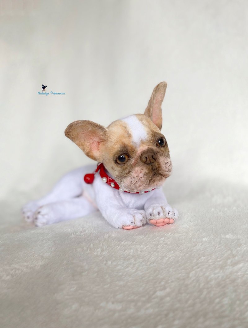 white-red French Bulldog puppy, realistic toy, pet portrait - ตุ๊กตา - เส้นใยสังเคราะห์ ขาว