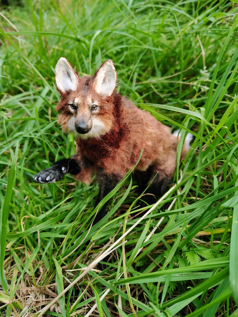 WOLF cub realistic animal stuffed! art doll poseable Made-to-order - 公仔/玩偶 - 其他人造纖維 多色