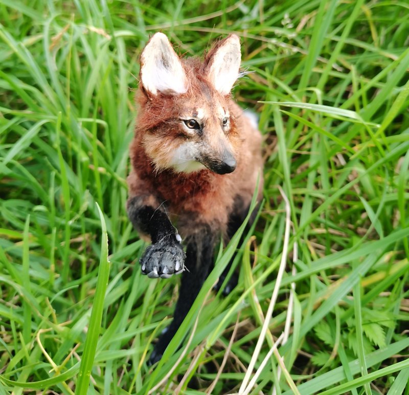 WOLF cub realistic animal stuffed! art doll poseable Made-to-order - 玩偶/公仔 - 其他人造纖維 多色