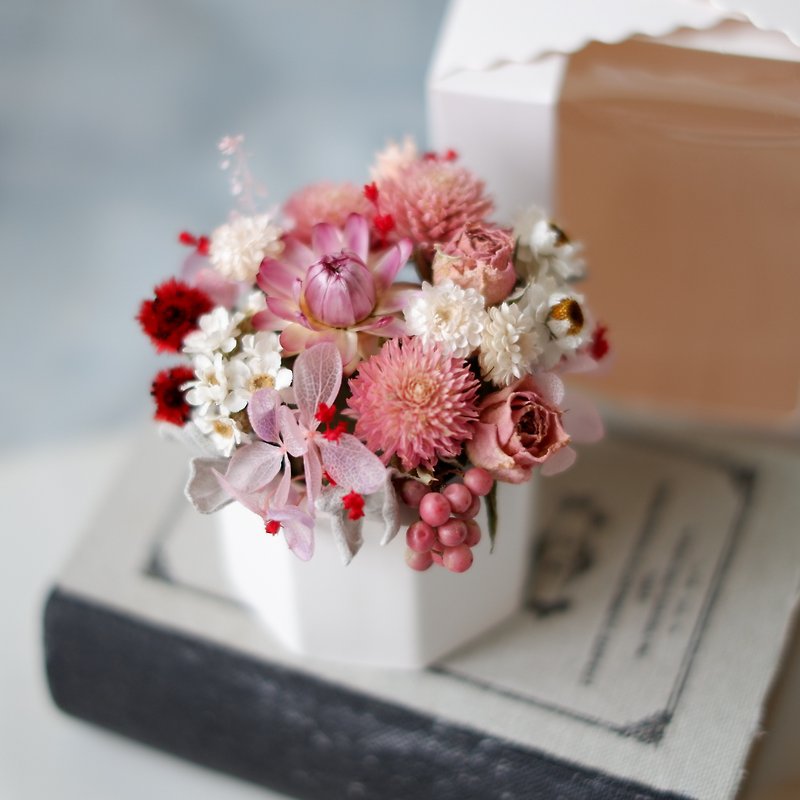 To be continued | Pink sweetheart dry flower spread flower pot bridesmaid gift spot (with box) - Dried Flowers & Bouquets - Plants & Flowers Pink