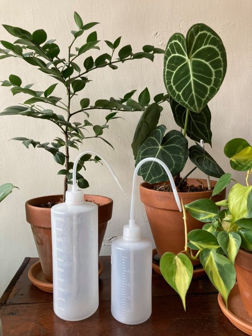 菩提園藝 【澆水器】園藝按壓式澆水器(具吸水功能/多肉澆水器) 0.5L、1L