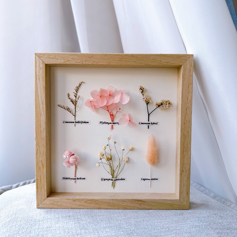 Flower frame - pink. Botanical specimens. Valentine's Day gift. birthday gift. Graduation gift. bridesmaid ceremony - ช่อดอกไม้แห้ง - พืช/ดอกไม้ 