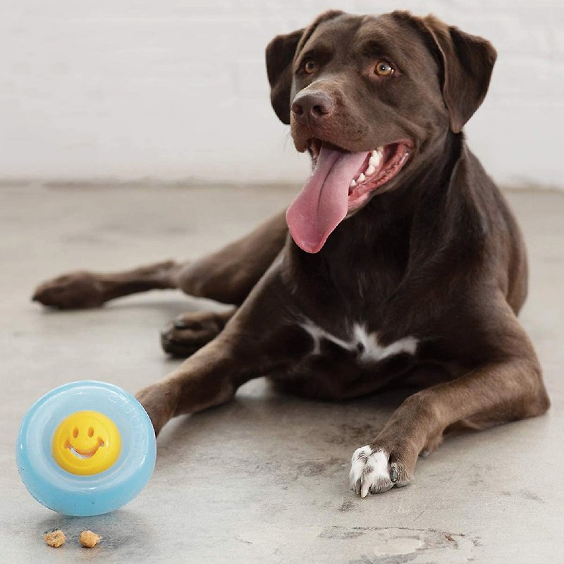 Planet Dog Orbee-Tuff Nooks Smiley Face Treat-Dispensing Dog Toy, Yellow - ของเล่นสัตว์ - น้ำยาง 