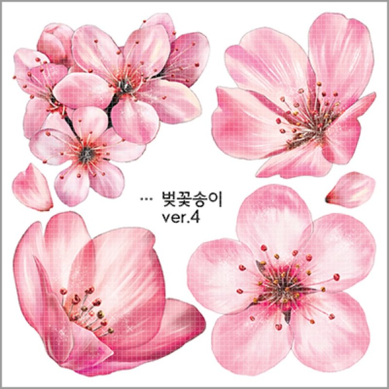 cherry blossom flower 4types (blackraccoon) Vintage collage design paper sticker - 貼紙 - 紙 多色