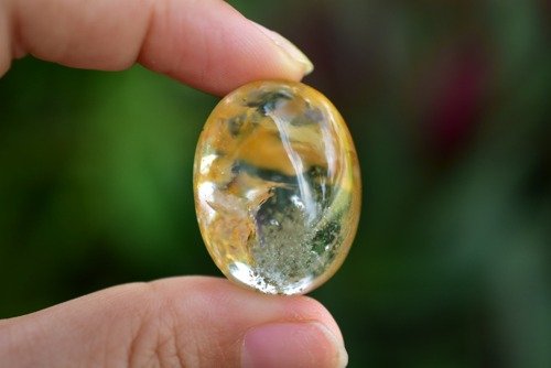 コレクションに！ライモナイトとガーデンクォーツの共生 スモーキー