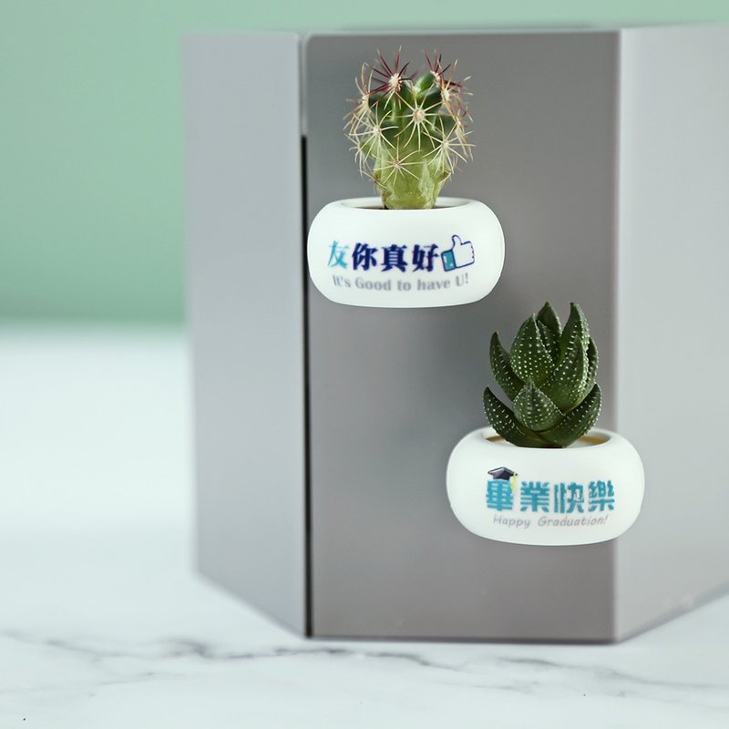 【友你真好VS畢業快樂】迷你磁鐵盆栽(單入)畢業禮物/送禮/客製 - 盆栽/植栽 - 塑膠 白色