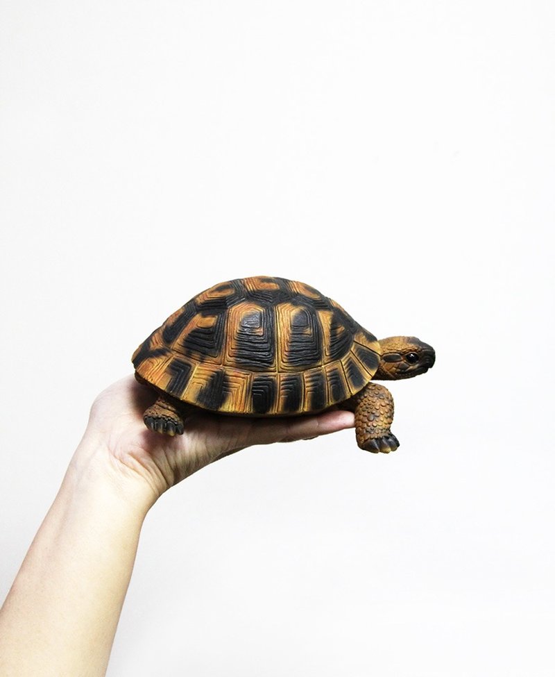 ZOOCRAFT realistic animal series Hermann's tortoise creative key stationery storage seat / ink pad / ink pad - กล่องเก็บของ - เรซิน สีนำ้ตาล