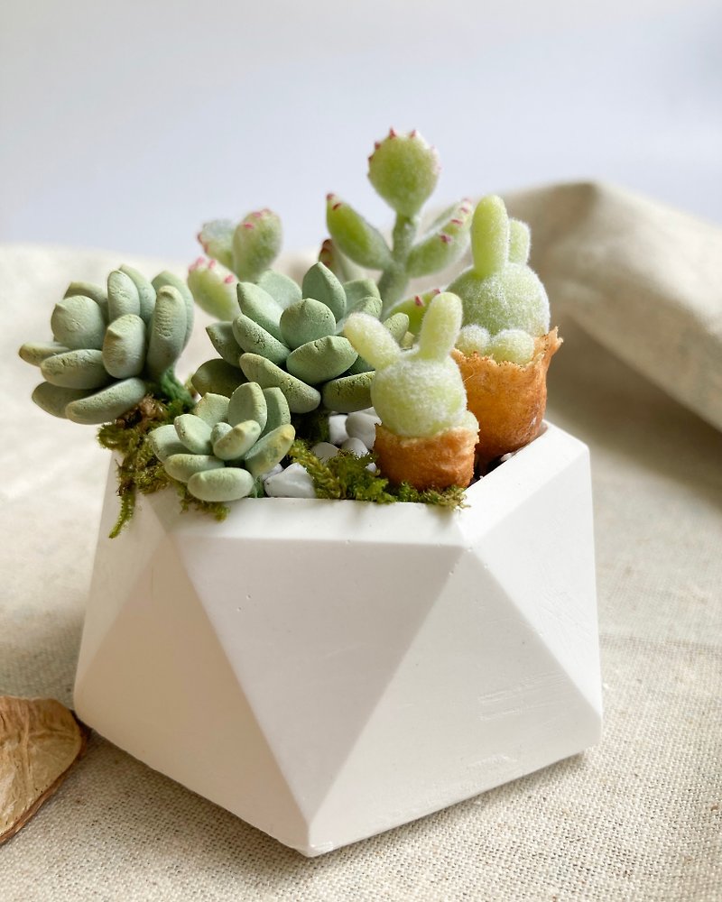 [Simulated Clay Succulent Plant Diffuser Pot] Bear Boy/Bi Halo/ Stone Group Pot - Plants - Clay Green