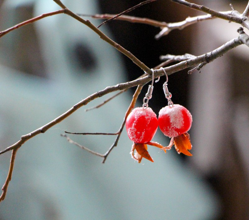 Rose hip earrings Unusual earrings Red earrings - 耳環/耳夾/耳骨夾 - 黏土 紅色