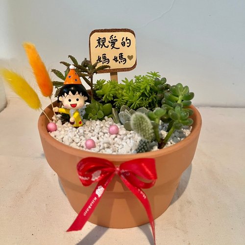 ❤️多肉植物❤️そのまま飾れる寄せ植え❤️スイカねこちゃん❤️ ❤️多肉植物❤️そのまま飾れる寄せ植え❤️スイカねこちゃん
