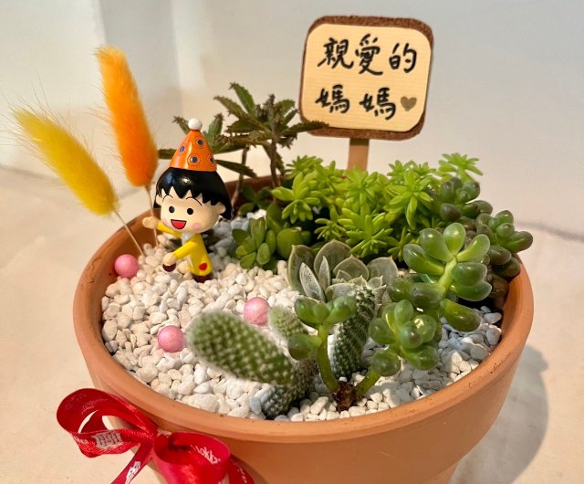 ❤️多肉植物❤️そのまま飾れる寄せ植え❤️スイカねこちゃん❤️ ❤️多肉植物❤️そのまま飾れる寄せ植え❤️スイカねこちゃん❤️
