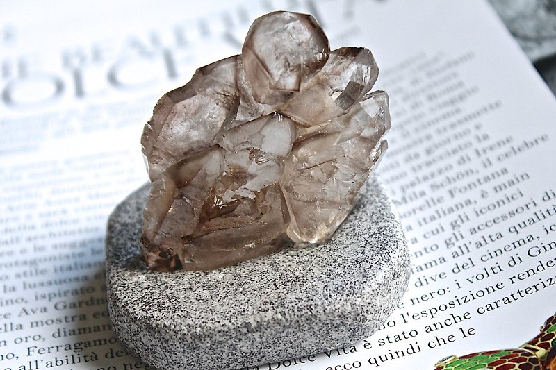 Flat Rock plant SHIZAI ▲ backbone Crystal / tea crystal backbone (with stand) ▲ - ของวางตกแต่ง - กระดาษ สีนำ้ตาล
