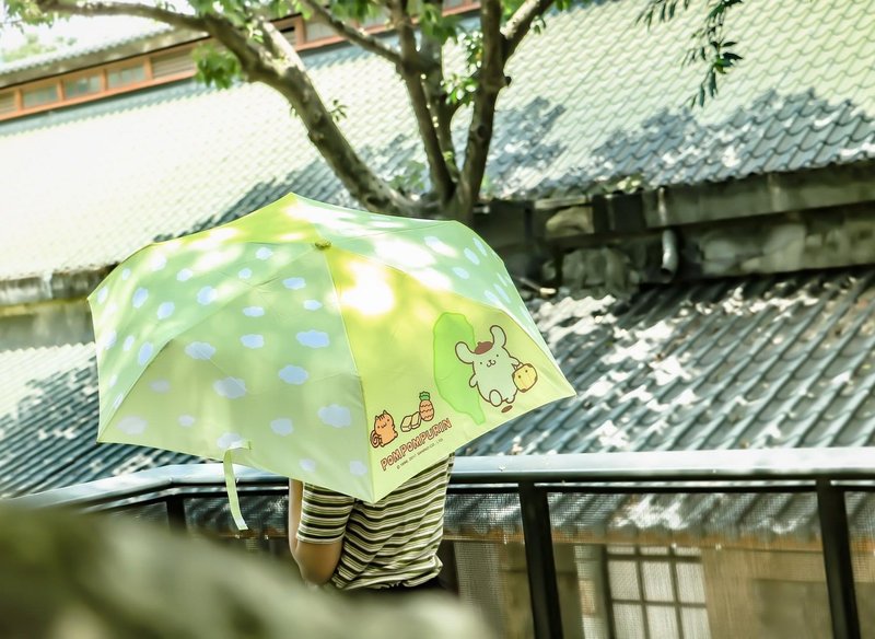 【漫遊台灣 X 三麗鷗】布丁狗 雨傘(台灣)+行李箱貼紙(總統府) - 雨傘/雨衣 - 防水材質 