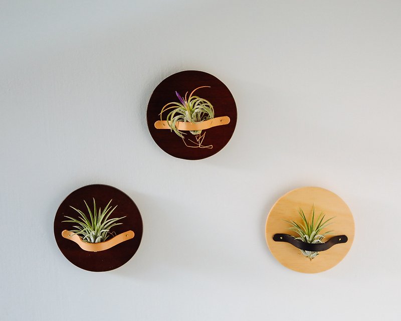 木頭 花瓶/花器 咖啡色 - AIR PLANT HOLDER PLATE- 磁吸植物盆器盤- 木色 4入1組