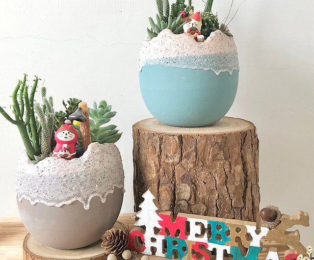 諒植栽と花 かわいい卵形のサボテン多肉鉢植えの誕生日プレゼントクリスマスオープニング新築祝い ショップ Chiplantflowers 観葉植物 Pinkoi