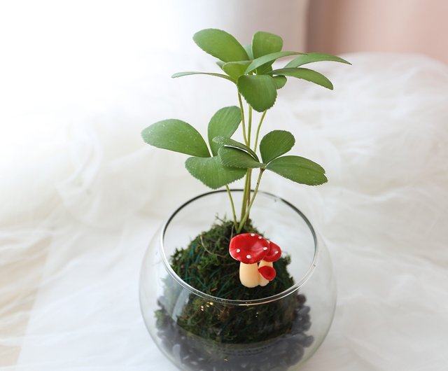 苔玉・小物置きガラス製台座 苔玉・小物置きガラス製台座