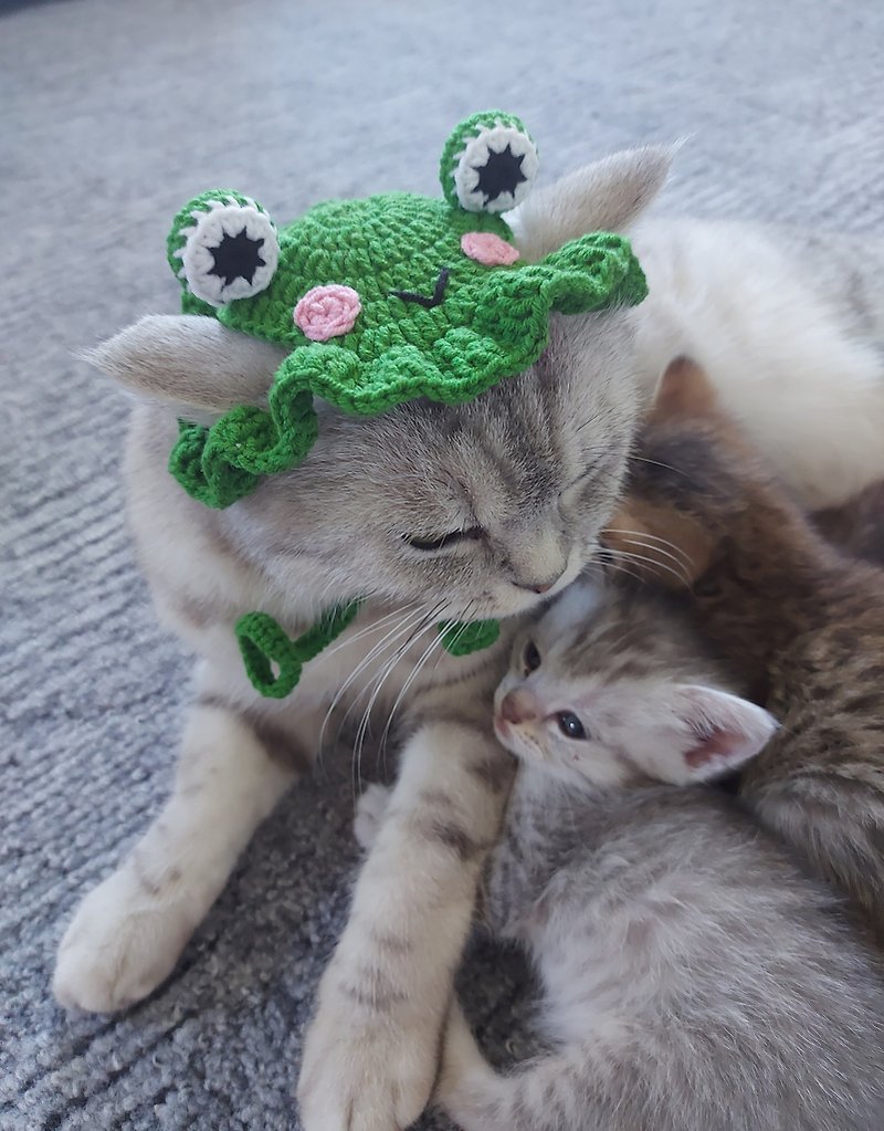 Cat hat Hat for cat Crochet hat for cat  Frog cat hat Cute cat accessory - 寵物衣服 - 繡線 綠色