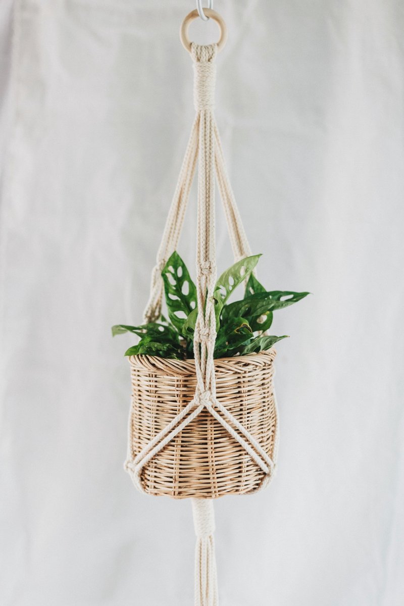 Macrame Plant Hanger / Twisted knots - Plants - Cotton & Hemp White