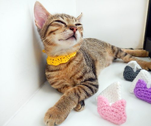 Pure 毛線編織貓草玩具 貓咪玩具 貓薄荷 茶包