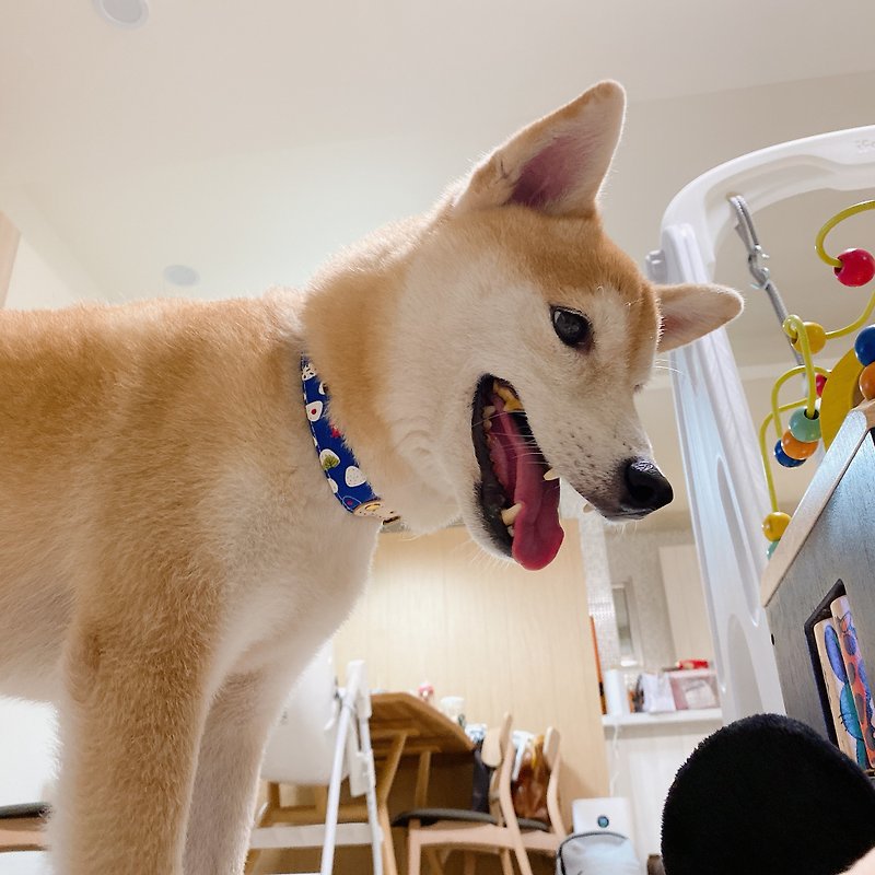 Dog M collar blue triangle rice ball sushi with bells can be purchased with tag - ปลอกคอ - ผ้าฝ้าย/ผ้าลินิน 