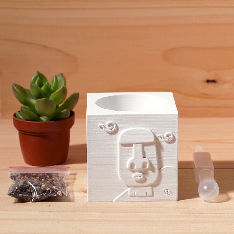 Calm Moai | Succulents in Cement pots | Cute and easy to take care of, customized gifts - ตกแต่งต้นไม้ - ปูน ขาว