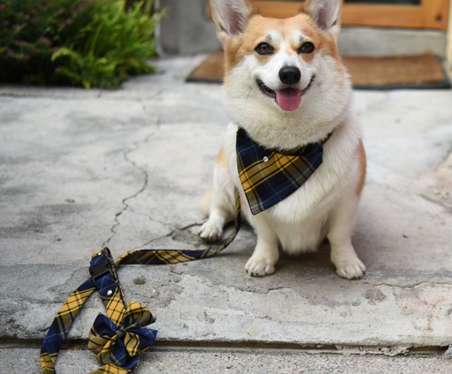 首輪 人気 エロ 犬