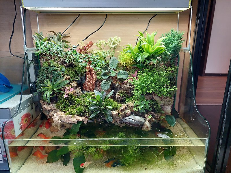 Kaiyun Ecological Landscaping Fish Tank NAB-60 The most dazzling decoration for home Fengshui - Plants - Glass 