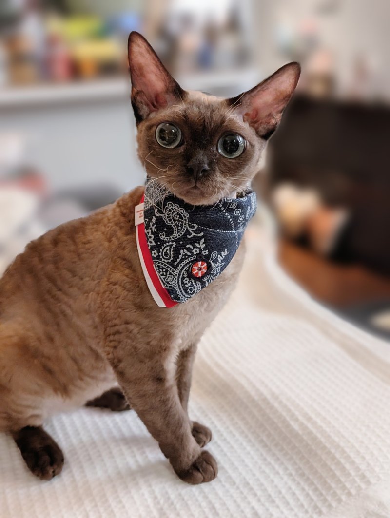 Cashew flower denim triangle scarf cat parent-child outfit - ปลอกคอ - ผ้าฝ้าย/ผ้าลินิน สีน้ำเงิน