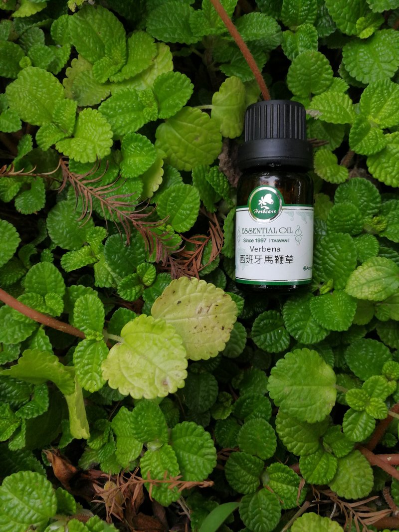 Spanish verbena pure essential oil 10ml 100% natural and supple essential organic certified essential oil - น้ำหอม - น้ำมันหอม 