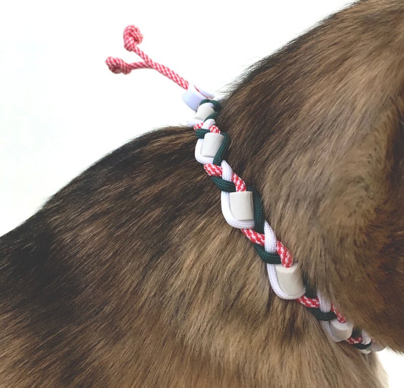 守護の環【交織】| EMセラミックパラコード編み込み首輪 | EM Collar - 首輪・リード - ナイロン 多色