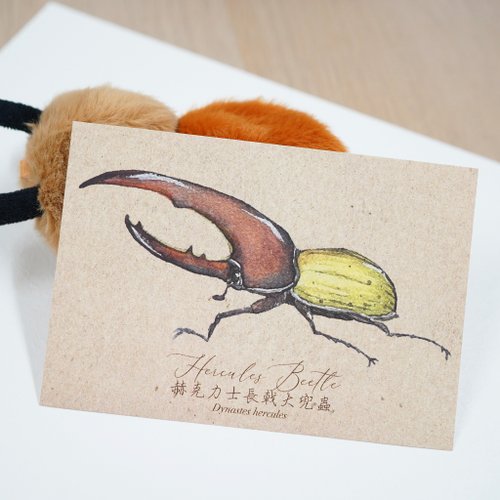 Deville Colour 【甲蟲先生 - 赫克力士長戟大兜蟲】水彩插畫 明信片 昆蟲 自然