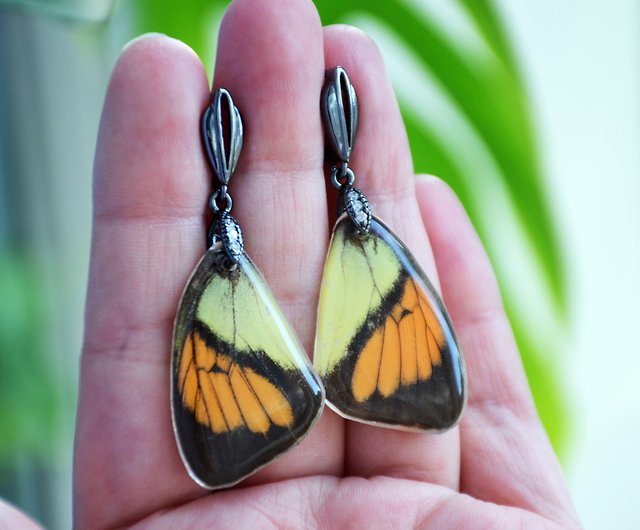 倫理的に調達された本物の蝶の羽のイヤリング, 昆虫のイヤリング, 自然 ...