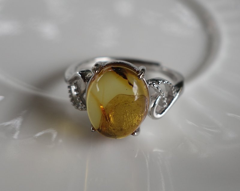 Amber 琥珀 天然波羅的海金珀 戒指 2.55克 植物珀 花珀 非二代琥 - 戒指 - 半寶石 金色