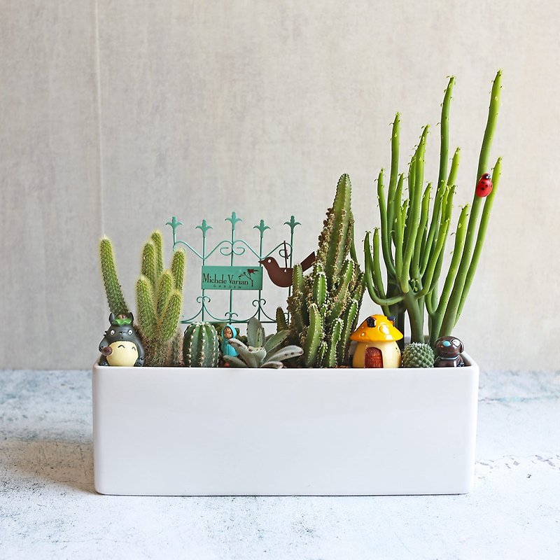 PD136/Cactus Ceramic Pot Plants/Opening Flower Ceremony/Opening Plants/Home Plants/Indoor Plants - Plants - Plants & Flowers Green
