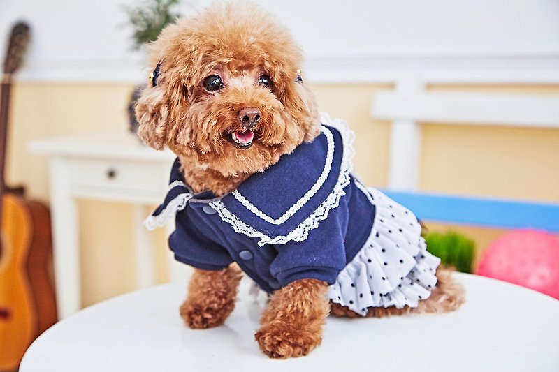 [Mao Duke] Pet Clothes Lace Collar Dot Skirt (Blue) - ชุดสัตว์เลี้ยง - ผ้าฝ้าย/ผ้าลินิน สีน้ำเงิน