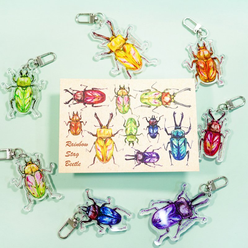 【彩虹鍬形蟲】水彩插畫 自然圖鑑明信片 昆蟲 自然 甲蟲 - 卡片/明信片 - 紙 多色