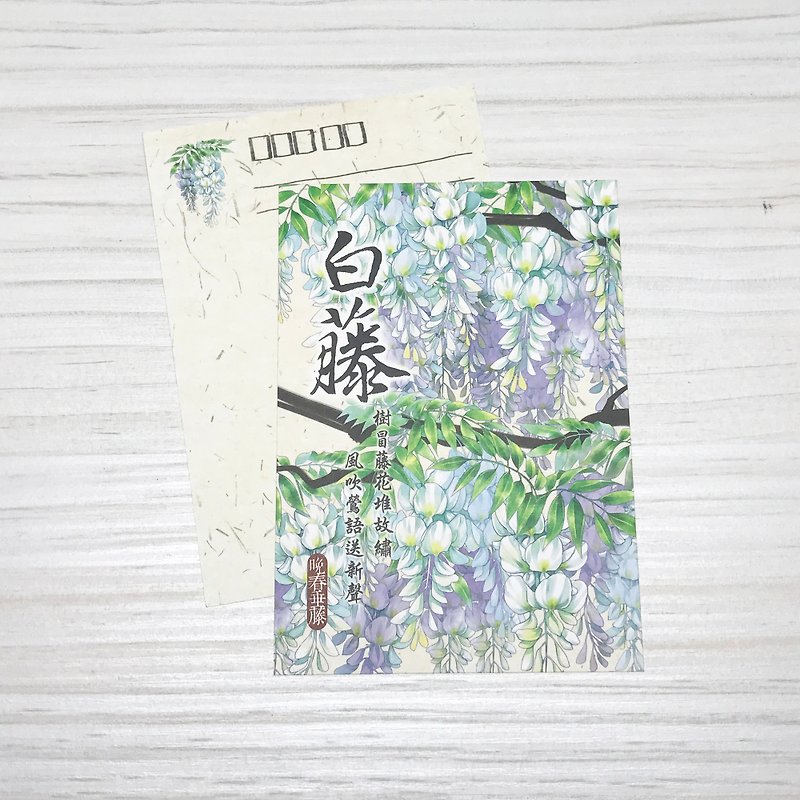 【晚春】2016白藤明信片 - 卡片/明信片 - 紙 白色